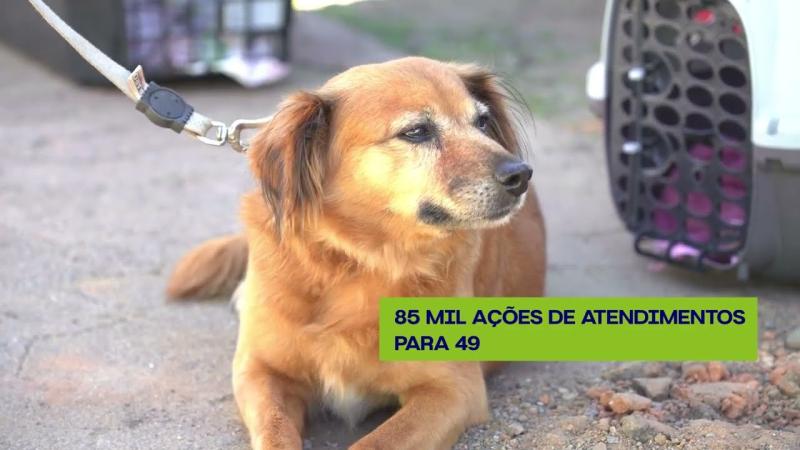  Pet Vida - Investimento em bem-estar animal